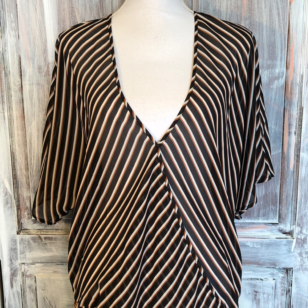 Coldwater Creek Dropwaist Striped Tunic Blouse.